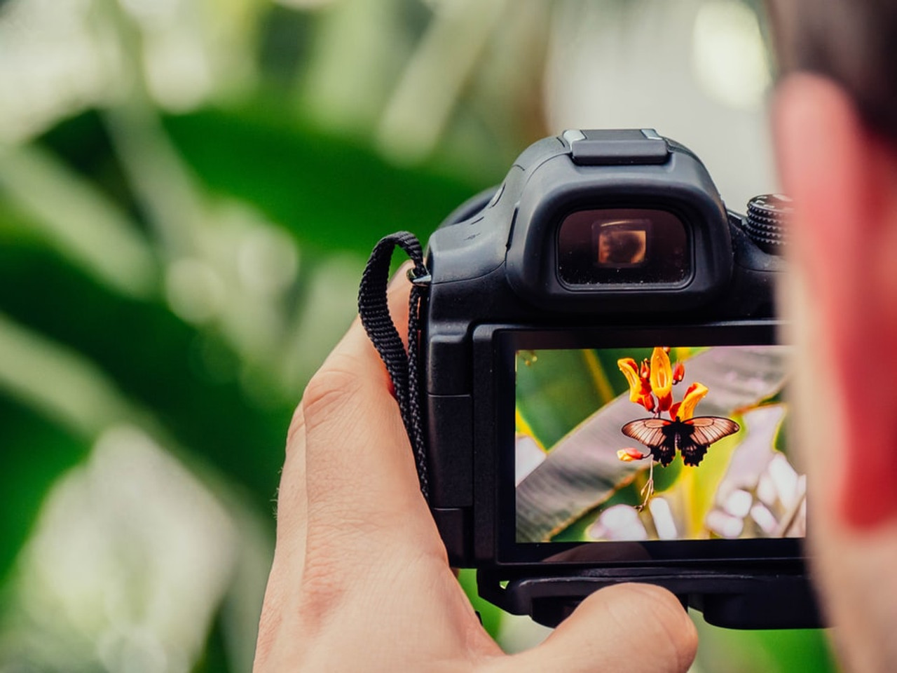 Bild für Bild besser werden im Fotokurs Hamburg
